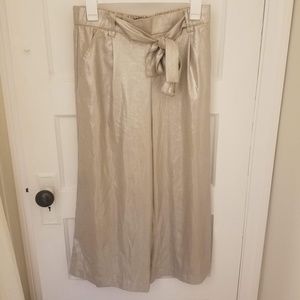 Zara - Metallic - Cropped Wide Leg Pants